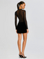 Delmer Velvet Dress Black
