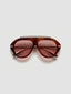 The Icon 2.0 Tortoise