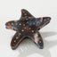 Calacatta Starfish | Medium Painted Starfish Claw Clip: Assorted