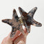 Calacatta Starfish | Medium Painted Starfish Claw Clip: Assorted
