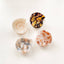 Cora Seashell Claw Clip