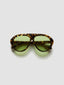 The Icon Tortoise