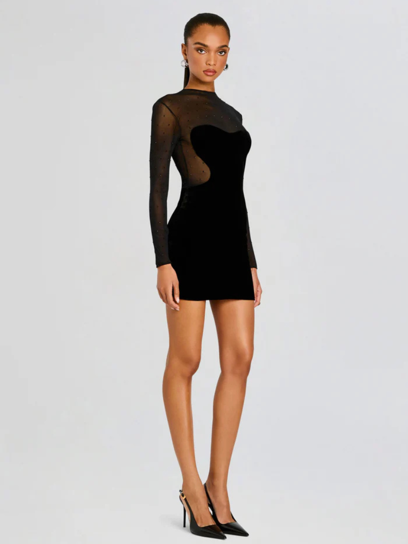 Delmer Velvet Dress Black