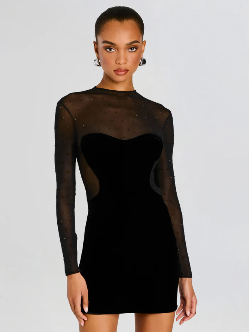 Delmer Velvet Dress Black