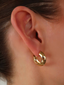 Holly Hoops