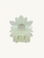 Dahlia Clip Melon
