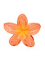 Super Bloom Clip in Peach Spritz